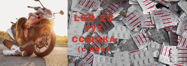 крисы Абаза