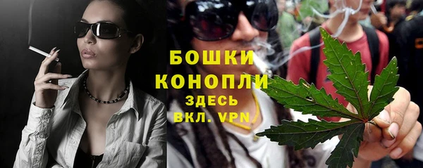 крисы Абаза